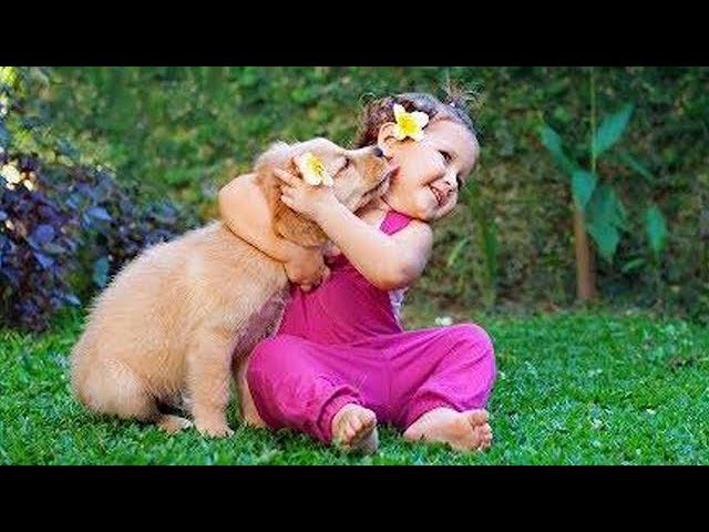 Cute Cats and Dogs 2019 Best Funny Pet Videos #10