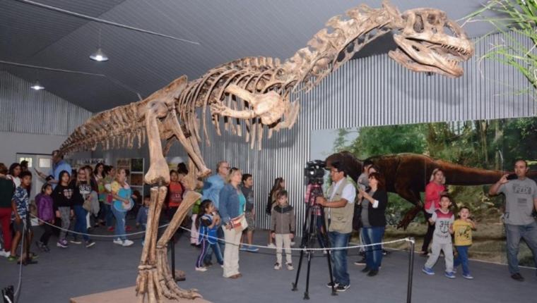museo-paleontologico-de-rincon-de___R7x_4MEdd_1200x0__1.jpg