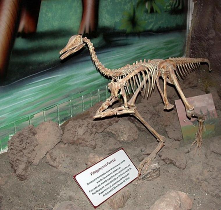 museo-paleontologico-de-rincon-de___bE2ciivLJ_1200x0__1.jpg