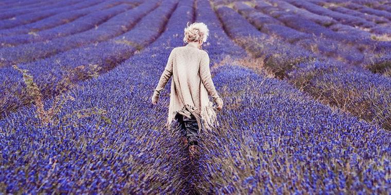 Everything You Need to Know About Using Lavender Oil
