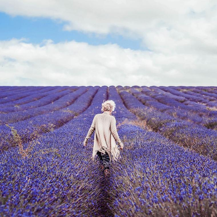 lavender-1555012269.jpg?crop=0.990xw:0.792xh;0.00680xw,0.0952xh&resize=480:*