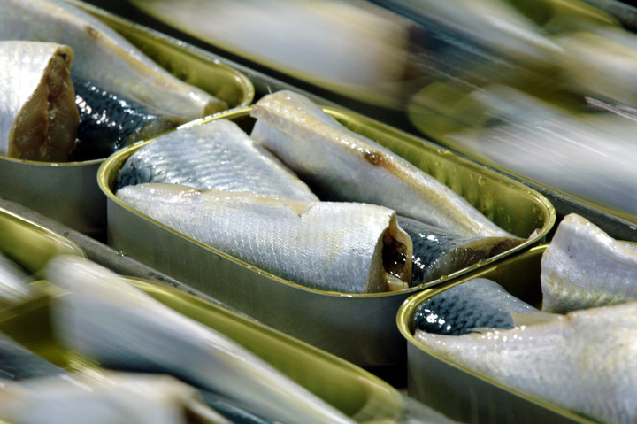 60-g-de-sardinas-tienen___eWVb-NZn6_720x0__1.jpg