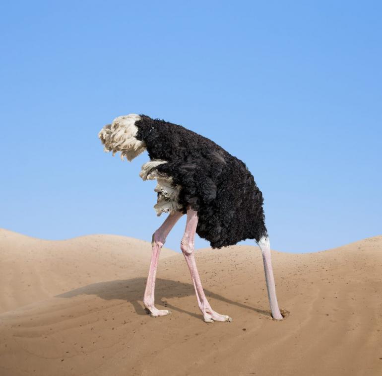 Ostriche-Burying-its-Head-in-the-Sand-1024x1008.jpg