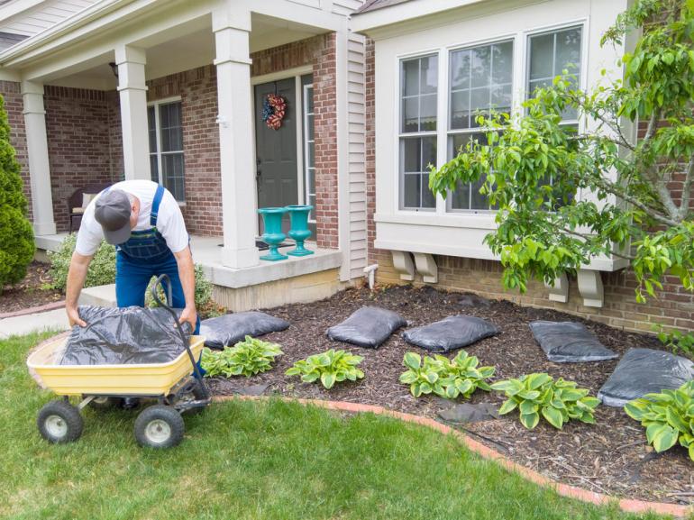 man-putting-mulch-in-yard-1024x768.jpg