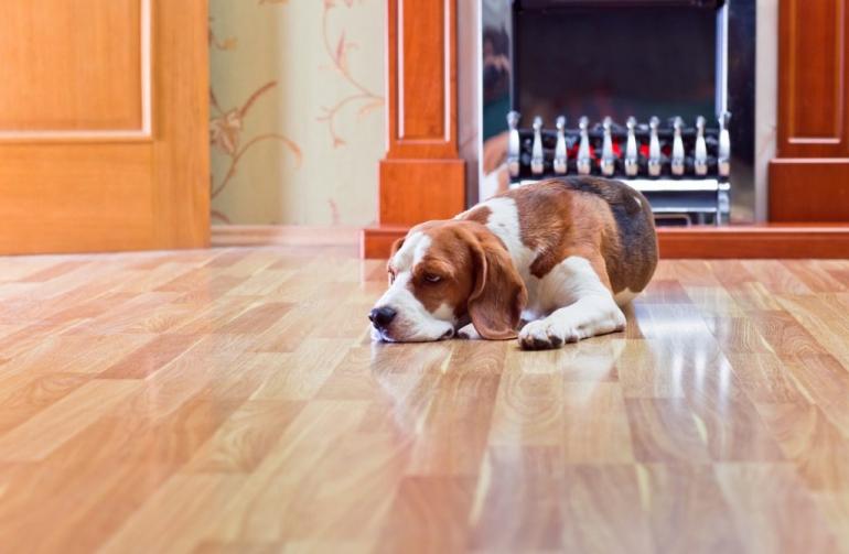 hardwood-floor-1024x670.jpg