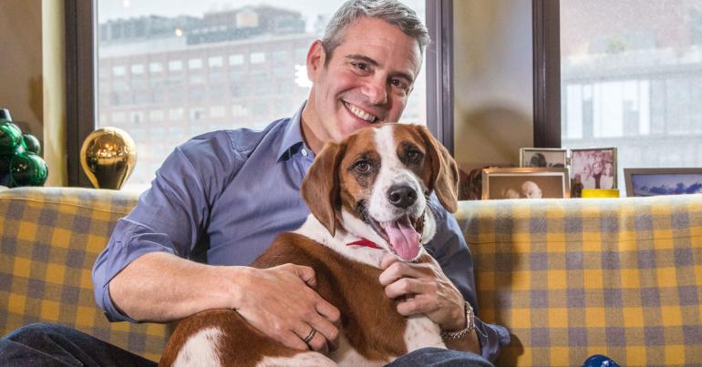 Andy Cohen on the making of a 'Housewives' brand