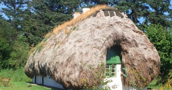 Live in this charming seaweed house on a Danish island