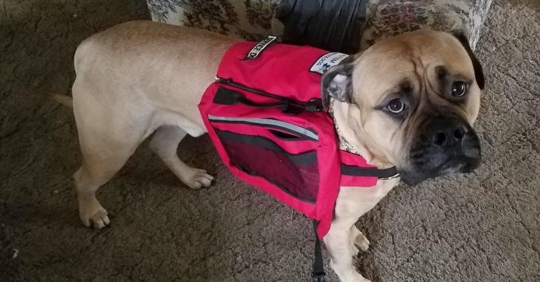 This Woman's Service Dog Went Looking For Help — And Was Ignored