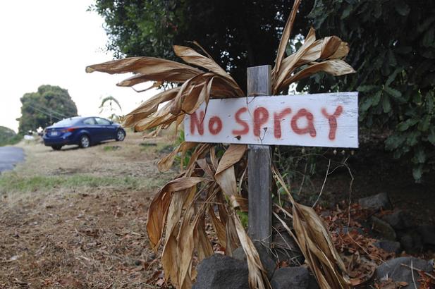 Hawaii Just Became The First State To Ban A Pesticide Linked To Developmental Delays In Kids