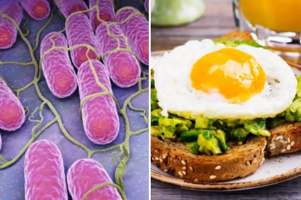Millions Of Eggs Have Been Recalled But People Are Still Getting Sick From Salmonella