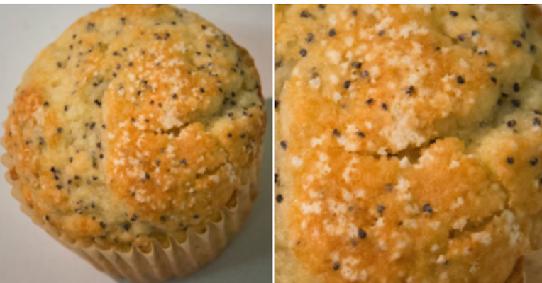 The CDC Put Ticks On A Poppy Seed Muffin And People Are Not Happy
