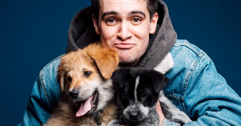 Brendon Urie Played With Puppies While Answering Fan Questions And It's Adorable