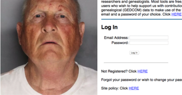 Here’s How Amateur Sleuths And Police Investigators Used DNA Websites To Find The Golden State Killer