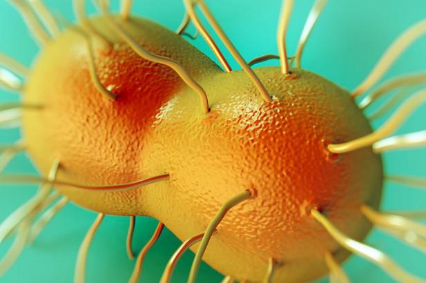 The Man With "Super Gonorrhea" Was Cured, But Not Everyone In The US Is Getting The Right Antibiotics