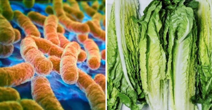Throw Out Your Romaine Lettuce Because It Could Be Contaminated With E. Coli