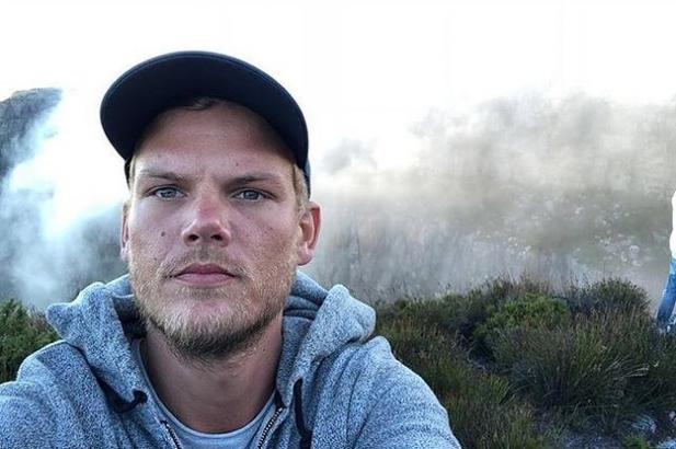 15 Facts You Should Know About Avicii