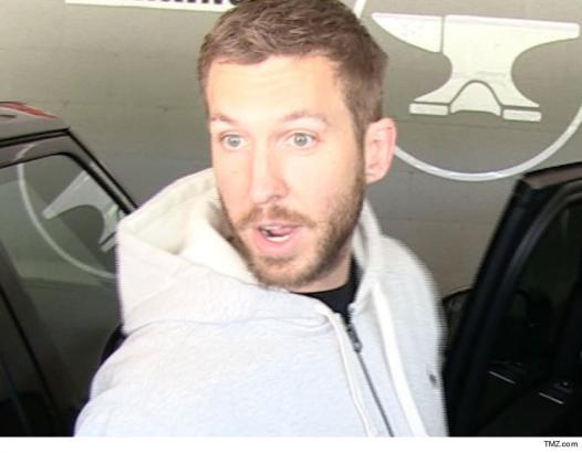 Calvin Harris Sued by Blind Man Over Home Rental Deal