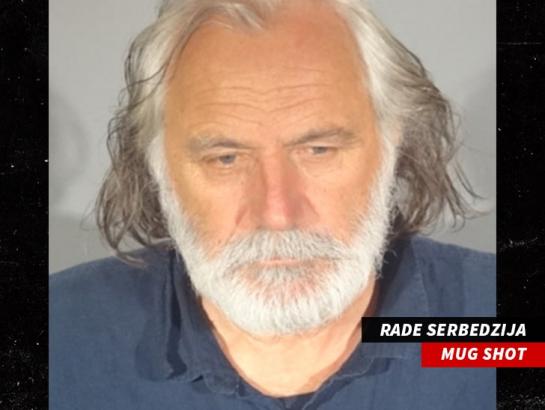 'Downton Abbey' Actor Rade Serbedzija Arrested for DUI