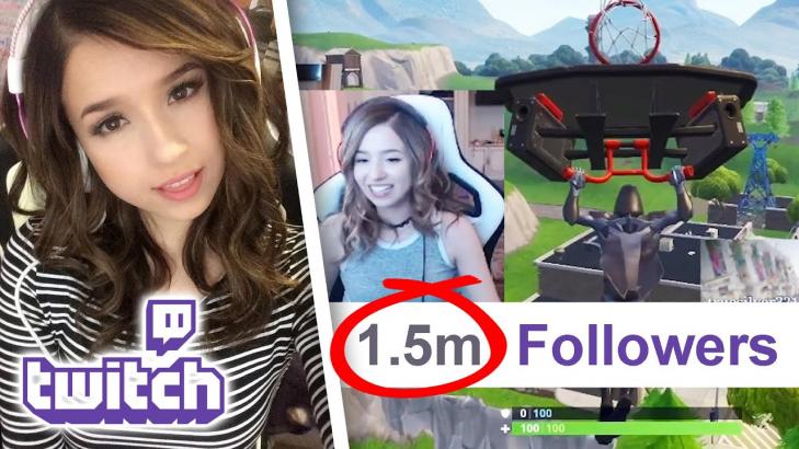 Making A Living Playing Video Games (feat. Pokimane)