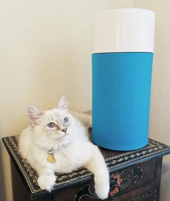 I'm Allergic to My Cat, and This $99 Air Purifier Makes Living With Him Bearable