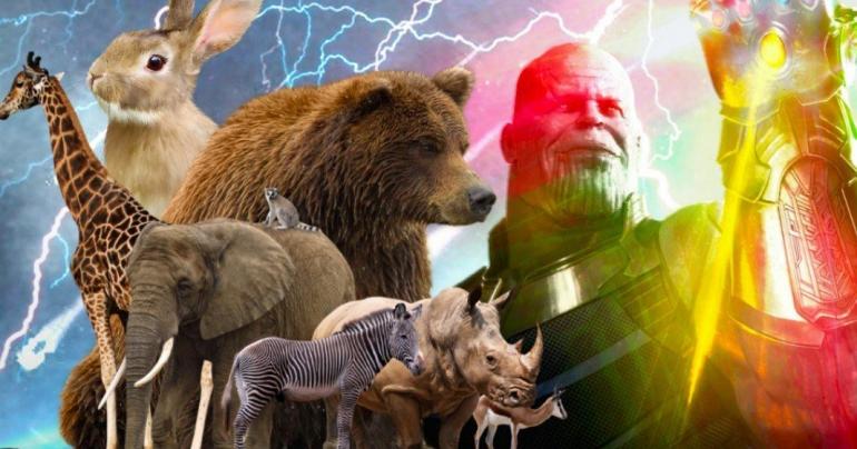 Thanos' Infinity War Snap Also Killed Animals