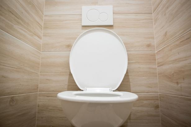 Why flushing the toilet with the lid up is grosser than you think