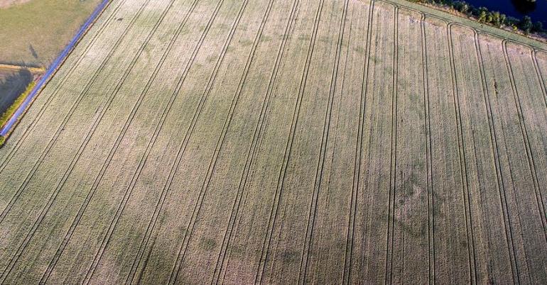 Drought and Drone Reveal ‘Once-in-a-Lifetime’ Signs of Ancient Henge in Ireland