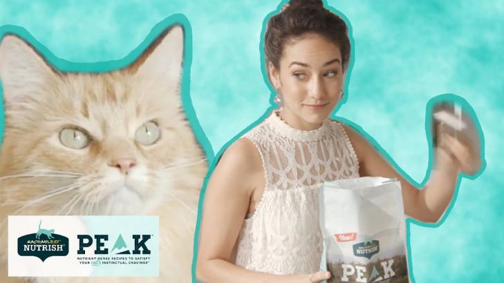 Things You Do Your Cat Finds Heroic Presented By BuzzFeed & Nutrish For Cats