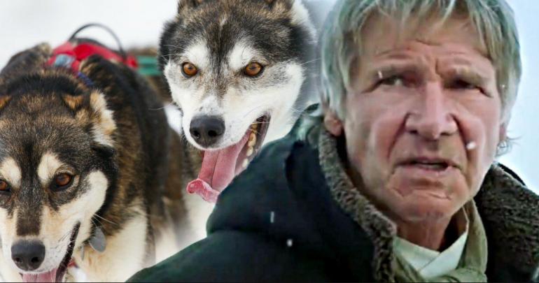 Harrison Ford Takes on Call of the Wild Remake