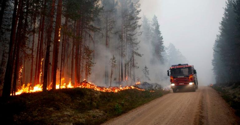 Heat Wave Scorches Sweden as Wildfires Rage in the Arctic Circle