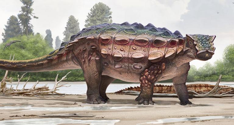 A new ankylosaur found in Utah had a surprisingly bumpy head