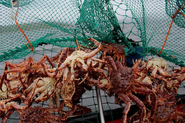 Dad contracts flesh-eating bacteria while crabbing