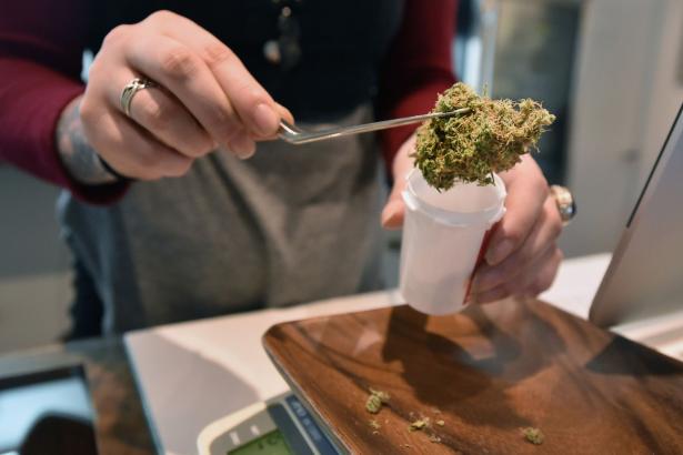 Oregon’s marijuana glut forces growers to make hard choices