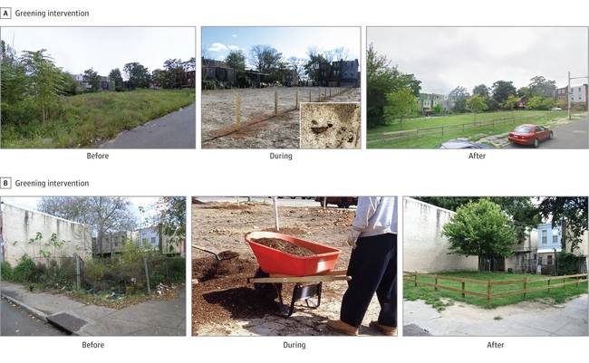 Amazing things happened when 206 ugly vacant lots in Philly were landscaped