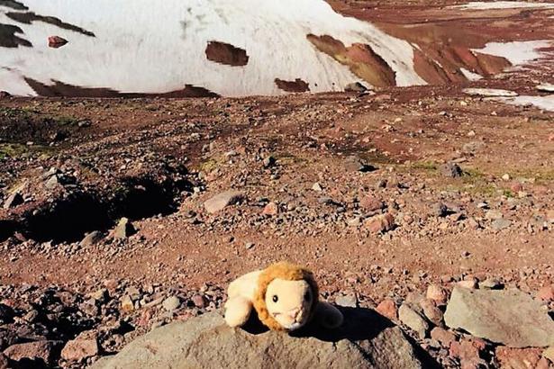 Little girl reunited with toy lion lost on remote hike