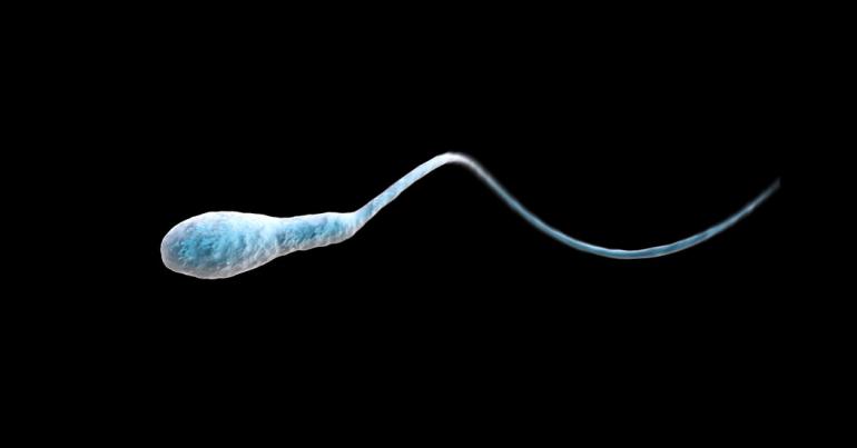 Men Are Freaking Out About Their Sperm