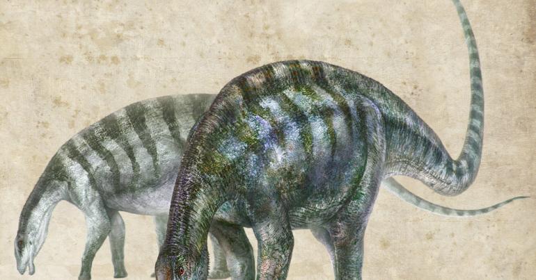 ‘Amazing Dragon’ Discovery in China Reshapes History of Dinosaurs’ Evolution