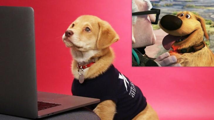 Puppies Critique Famous Movie Dogs