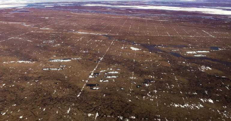 How Oil Exploration Cut a Grid of Scars Into Alaska’s Wilderness