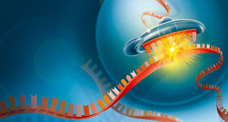 The first gene-silencing drug wins FDA approval