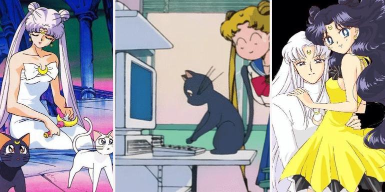Sailor Moon: 21 Things About Artemis And Luna That Make No Sense