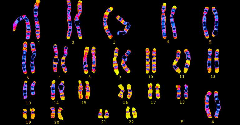 Clues to Your Health Are Hidden at 6.6 Million Spots in Your DNA