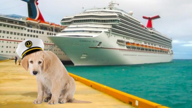 Royal Caribbean reportedly bans emotional support animals from all cruises