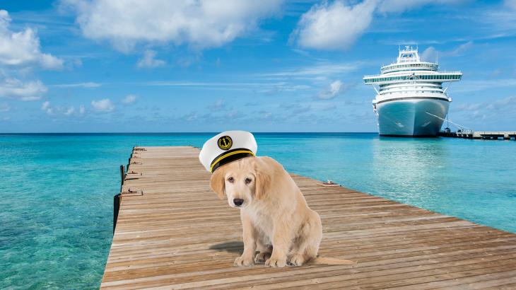 Royal Caribbean bans emotional support animals from all cruises