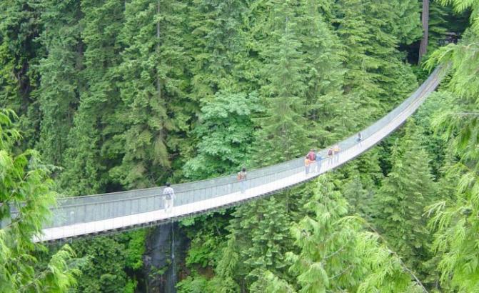 The Capilano Suspension Bridge