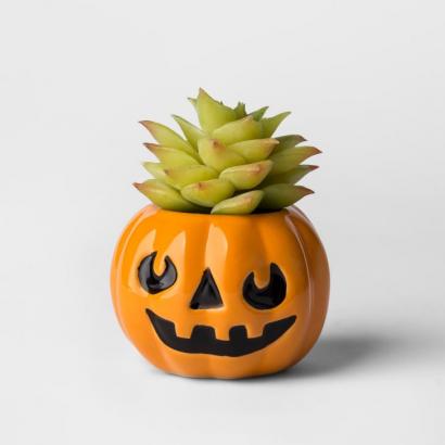 You Need These Adorable Halloween Succulents From Target - They're Only $3!