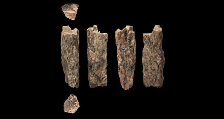 Meet the first known child of a Neandertal and a Denisovan
