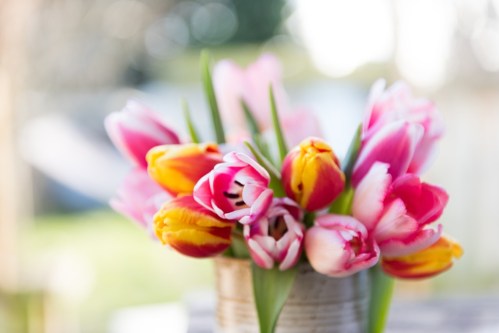 8 Amazing Benefits of Having Flowers in Your Home