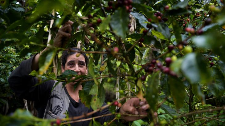 The Conversation: Climate change is creating new struggles for coffee producers