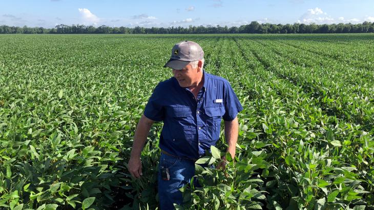 The Wall Street Journal: U.S. farmers to receive $4.7 billion to offset trade-war losses